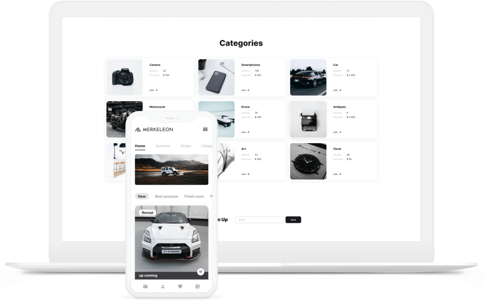 screenshot of Merkeleon Internet Auction Software